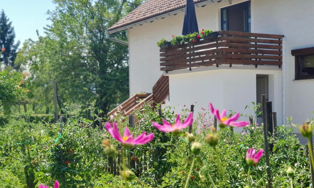 Apartment Murva Drežnik Grad Екстериор снимка