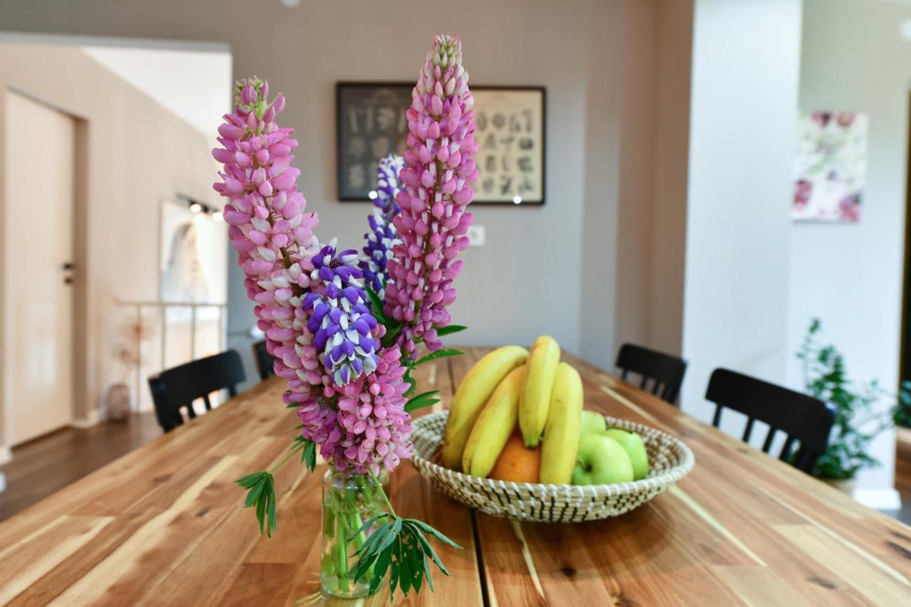 Apartment Murva Drežnik Grad Екстериор снимка